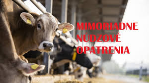  Mimoriadne núdzové opatrenie – slintačka a  krívačka 2025
